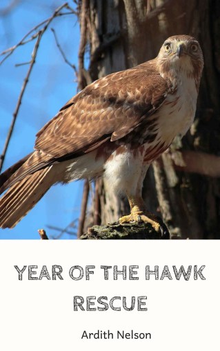 YEAR OF THE HAWK RESCUE