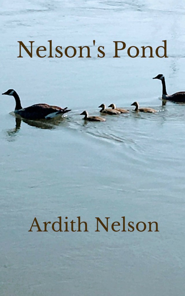 Nelson's Pond ebook