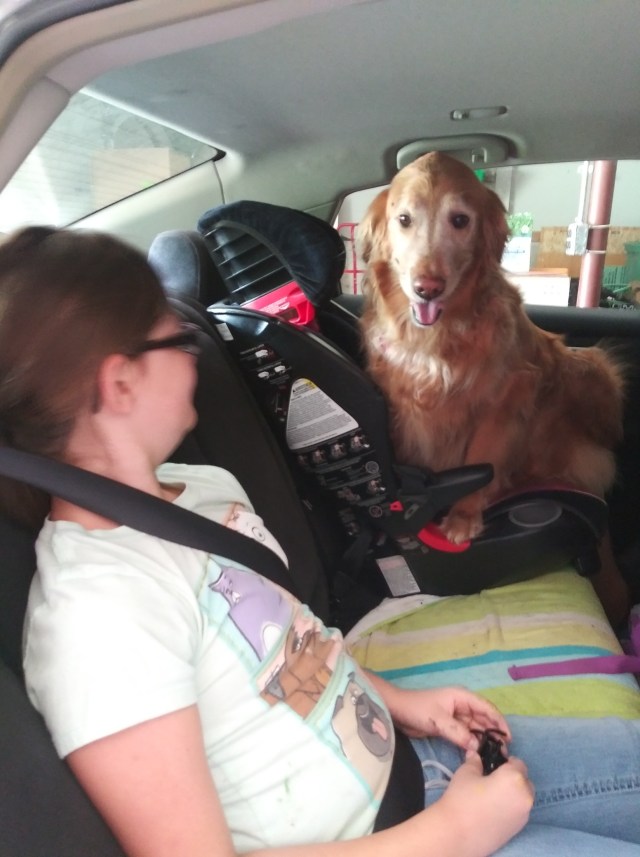 20190615_105938_resized